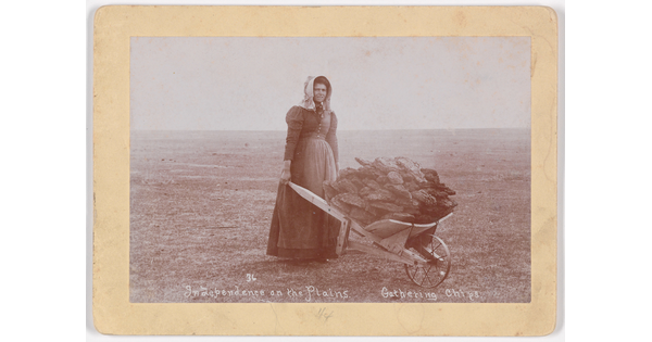A black-and-white photograph of a White woman wearing a long, dark dress and a bonnet pushing a wheelbarrow filled with manure.