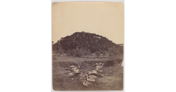 A black-and-white photograph of a pile of animal bones in the foreground and a tree-covered hill in the background.