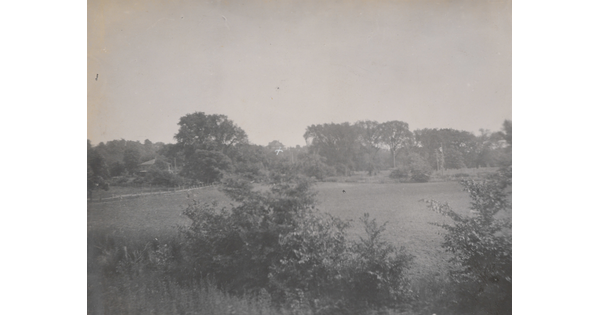 A black-and-white photograph of a heavily wooded area surrounding a grassy field with a home-like structure off in the distance.