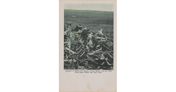 A black-and-white postcard of a pile of weathered bones in front of a barren landscape.