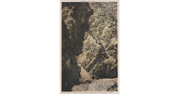 A color postcard of people and mules walking up a steep, rocky canyon trail.