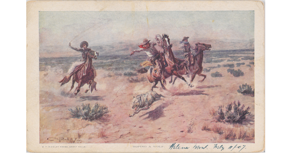 A color print postcard of a painting of three White cowboys on running horses attempting to rope a wolf.