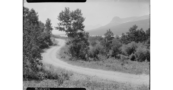 A black-and-white image of a winding dirt road surrounded by trees and brush with mountains in the distance.