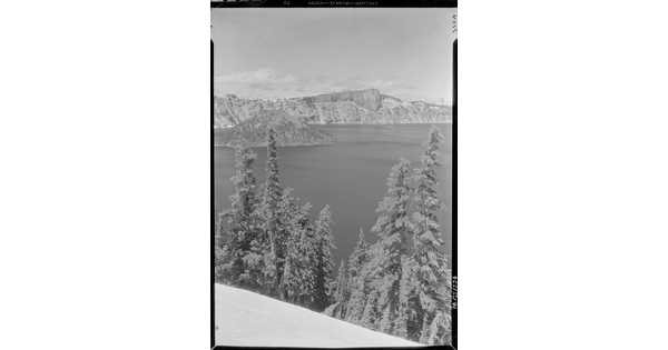 A black-and-white image of pine trees on a steep hill above a lake with mountains in the distance.