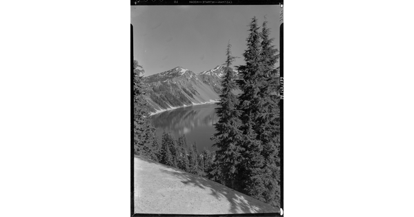 A black-and-white image of pine trees on a steep hill above a lake with mountains in the distance.