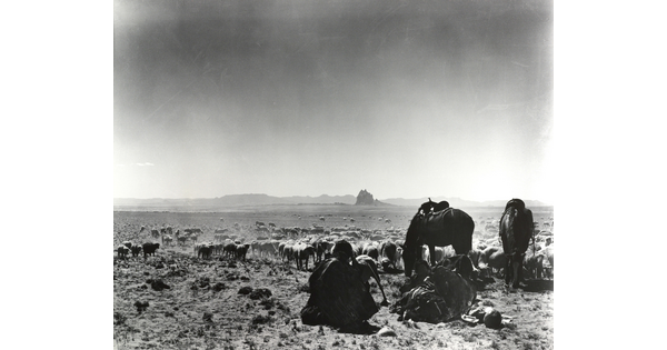 A black-and-white photograph of a man seated on the ground as two saddled horses graze with a herd of sheep on a plain with mountains in the distance.