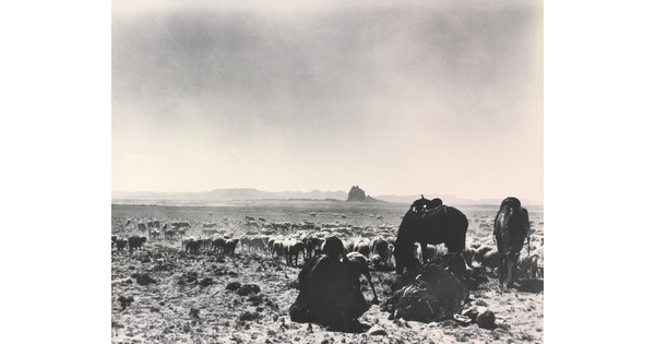 A black-and-white photograph of a man seated on the ground as two saddled horses graze with a herd of sheep on a plain with mountains in the distance.
