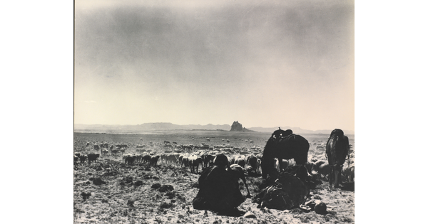 A black-and-white photograph of a man seated on the ground as two saddled horses graze with a herd of sheep on a plain with mountains in the distance.