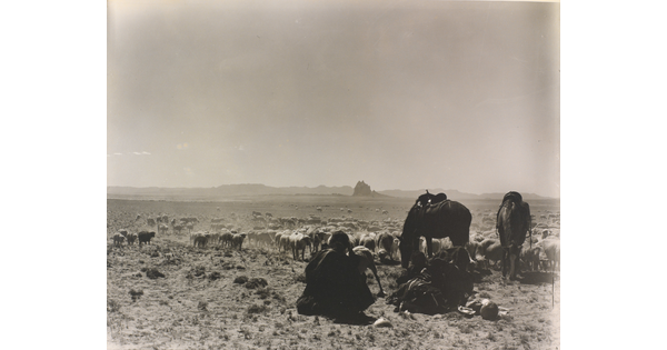 A black-and-white photograph of a man seated on the ground as two saddled horses graze with a herd of sheep on a plain with mountains in the distance.
