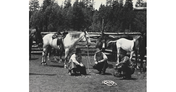 A black-and-white photograph of three men wearing cowboy hats crouched in the grass with saddled and unsaddled horses in the background.