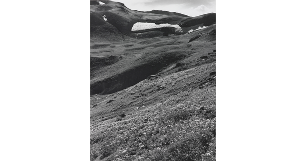 A black-and-white photograph of a mountainside covered in wildflowers, grass, and pockets of melting snow.