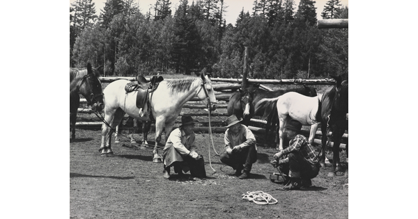 A black-and-white photograph of three men wearing cowboy hats crouched in the grass with saddled and unsaddled horses in the background.
