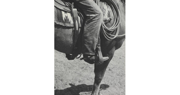A black-and-white photograph of a person's leg in a cowboy boot, including spurs, sitting astride a horse, viewing only the horse's front quarter.