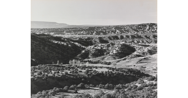 A black-and-white photograph of mountains and valleys sparsely covered with trees.