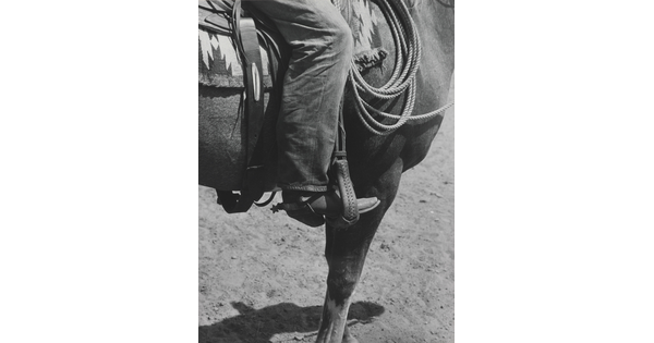 A black-and-white photograph of a person's leg in a cowboy boot, including spurs, sitting astride a horse, viewing only the horse's front quarter.
