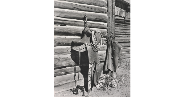 A black-and-white photograph of a leather saddle, chaps, rope, and other horse gear hung on the side of a log building.