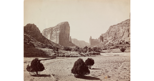 A sepia-toned photograph of a desert landscape with scrubby trees in the foreground and tall rock formations in the background.