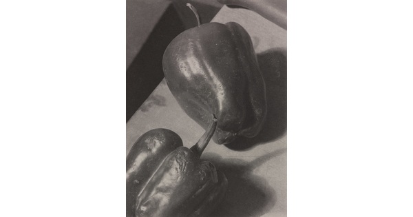A black-and-white still life photograph of two peppers, one slightly wrinkled, laying on their sides.