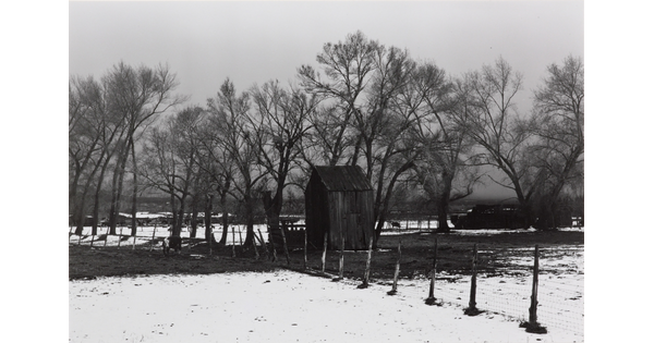A black-and-white photograph of snowy fields, a shack, some livestock, and leafless trees behind a post and wire fence.