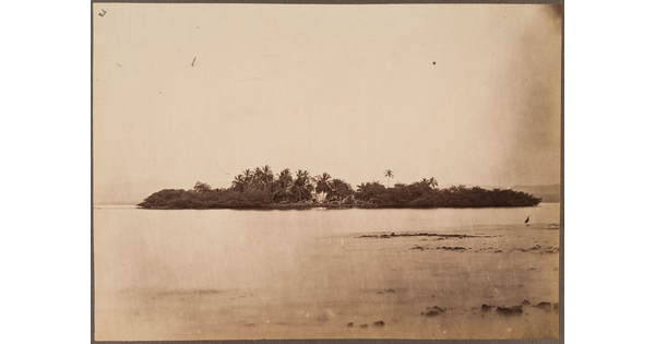 A sepia-toned photograph of a small island covered with palm trees and vegetation and a bird sitting on a sandbar on the near shore.