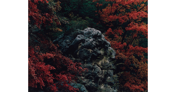 A color photograph of a rocky hillside surrounded by red and orange foliage.