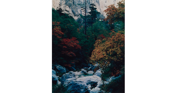 A color photograph of boulders at the bottom of a ravine surrounded by red, orange, and green foliage.