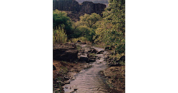 A color photograph of a creek running through a rocky landscape with green vegetation and a large cliff in the background.