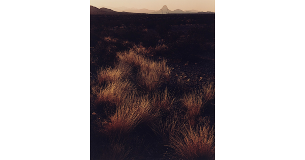 A color photograph of brown and gold grass on a scrubby plain with mountains in the distance.