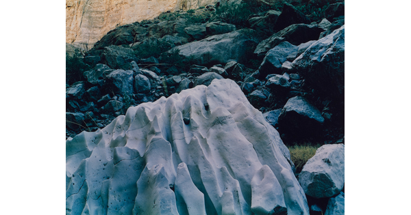 A color photograph of a large, white rock full of ripples and wrinkles against a dark rocky cliff.