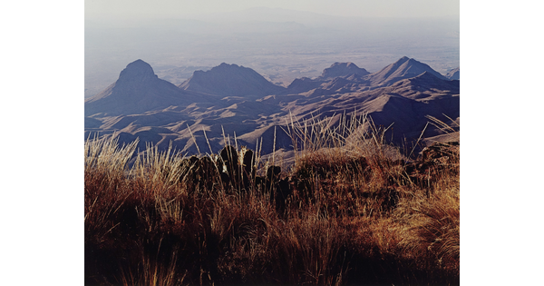 A color photograph of brown and gold grass on a hill overlooking purple and blue mountains.