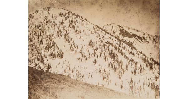 A sepia-toned photograph of snow-covered mountains with pine trees emerging from the snow.