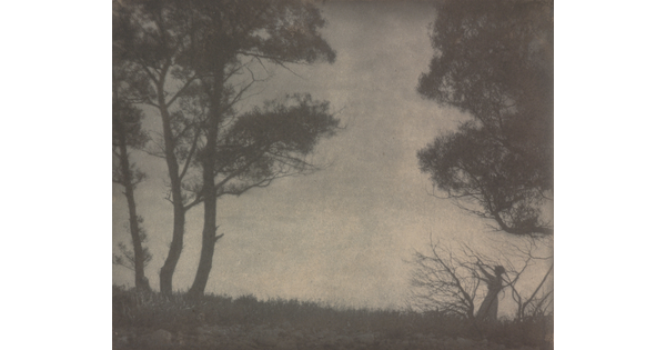 A black-and-white photograph of several trees and a woman, all in silhouette, against a cloudy sky.