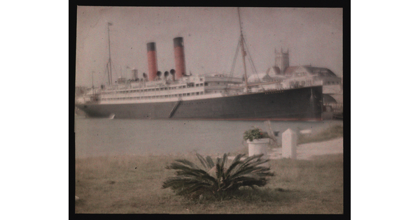 A color image of a large ship docked in a harbor; grass and plants in the foreground.