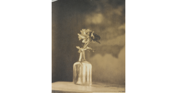 A sepia-toned, soft-focus photograph of a glass bottle with a single rose in it.