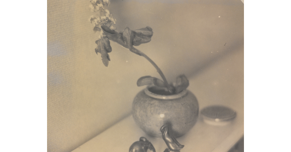 A sepia-toned photograph of a small flower in a pot resting on a shelf next to several small figurines.