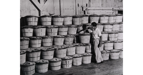 A black-and-white photograph of a man standing next to rows of wood baskets stacked higher than he is.
