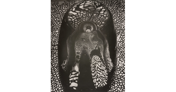An abstract black-and-white photograph with mirrored reflections of coral, like a spider web, in an anthropomorphic form.