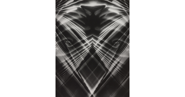 An abstract black-and-white photograph of stark white lines making a crisscross pattern that mimics a bird's face on a black background.