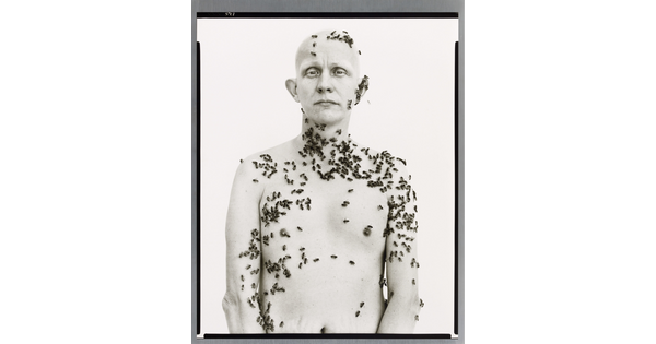 A black-and-white portrait photograph of a bald, shirtless White man covered in bees on his arms, torso, neck, and head.