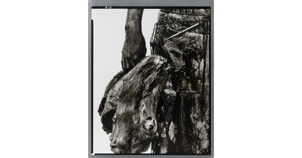 A close-up black-and-white photograph of a person's hand holding a severed cow head by their side.