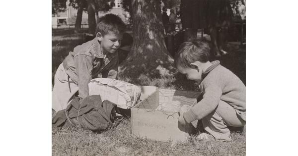 A black-and-white photograph of two Indigenous children looking into a cardboard box in grass under a tree. 