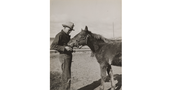 A black-and-white photograph of a young Indigenous man feeding a pony from his hand. 