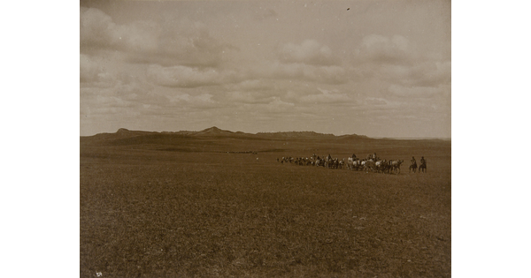 A black-and-white photograph of a herd of cattle and several cowboys on a prairie with mountains in the far distance. 