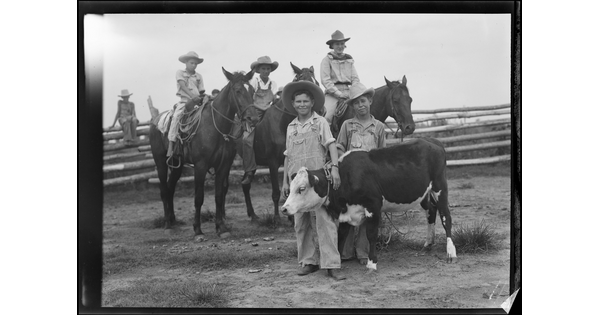 A black-and-white image of three boys on horseback behind two boys standing next to a roped calf.