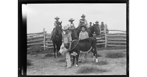 A black-and-white image of three boys on horseback behind two boys standing next to a roped calf.