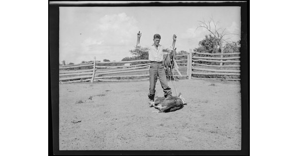 A black-and-white image of a White man standing with his hands in the air next to a roped calf on the ground and a horse in the background.