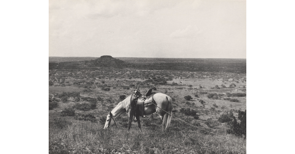 A black-and-white photograph of a grassy landscape with a saddled horse grazing in the foreground.