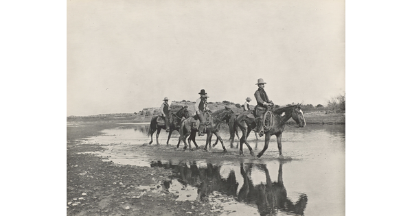 A black-and-white photograph of multiple cowboys walking through a riverbed on horseback.