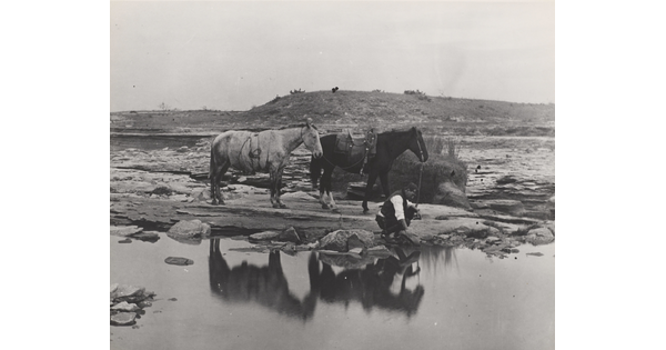 A black-and-white photograph of a man crouched down dipping his hat into a body of water while two horses stand behind him.