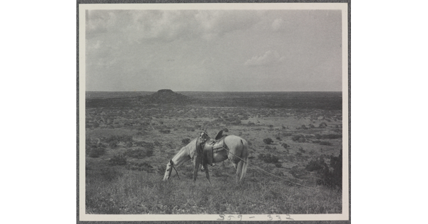A black-and-white photograph of a grassy landscape with a saddled horse grazing in the foreground.
